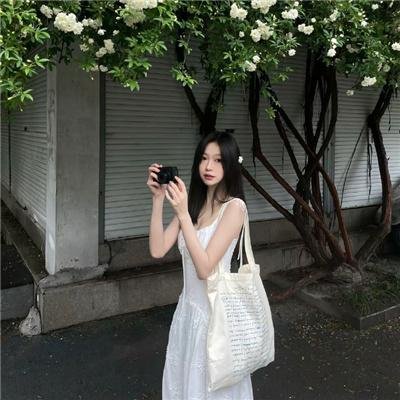 山上的松树